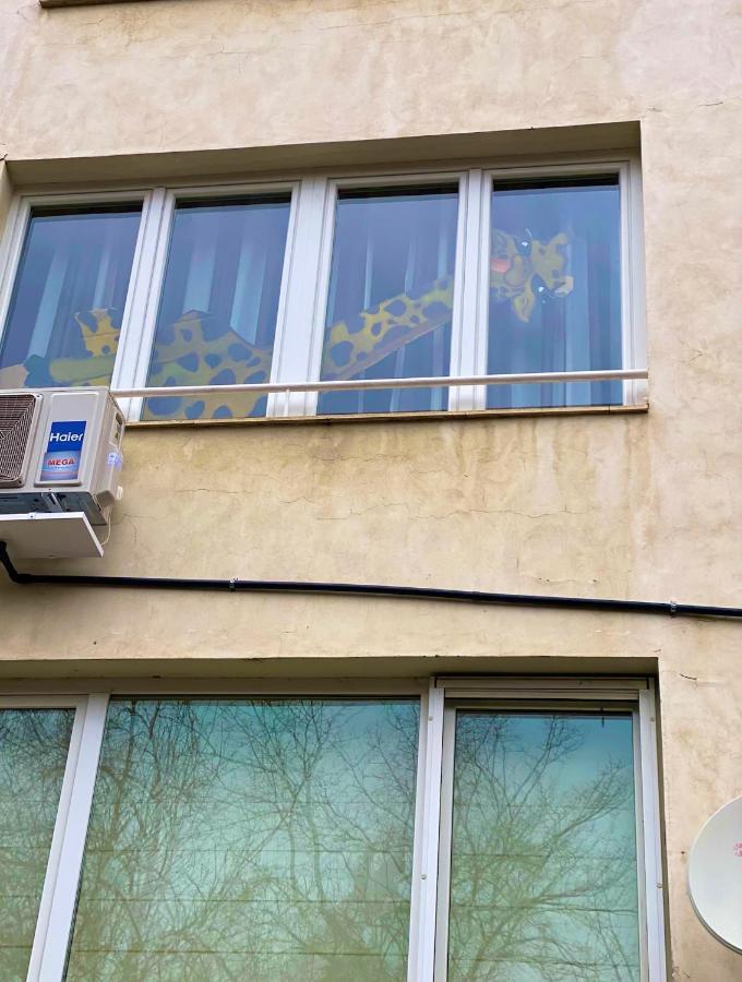 Spacious Apartment Next To South Park Просторен Апартамент До Южен Парк Top Location Sofía Exterior foto